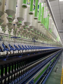 世界最大毛巾廠轉身擁抱互聯網，為何獨選拼多多？